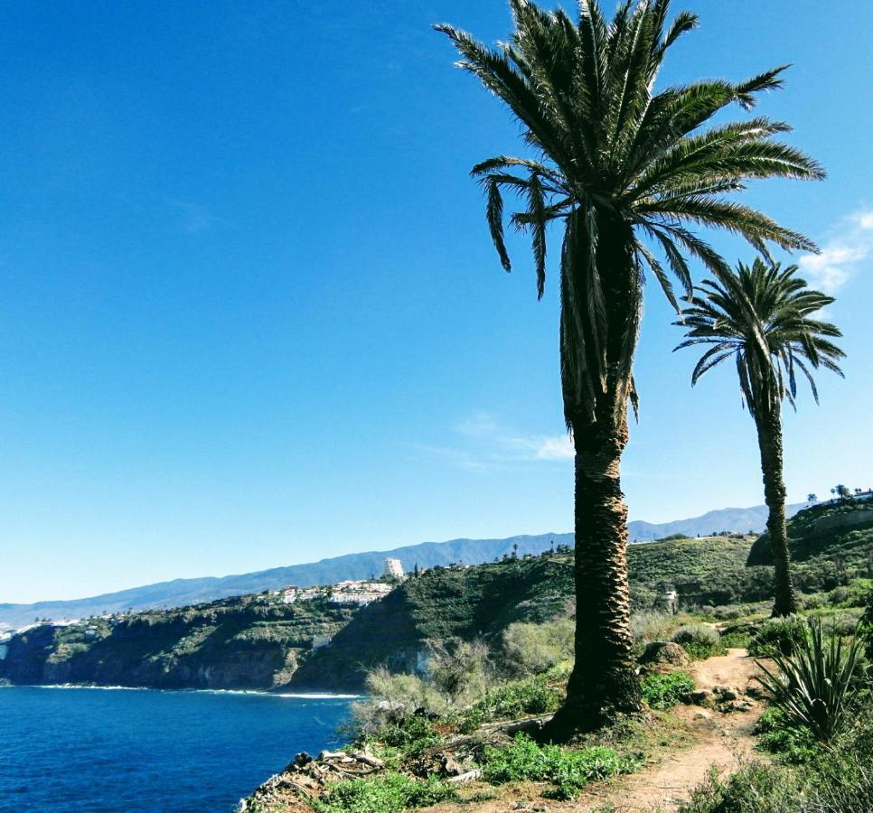La Pardela Oceanfront Lägenhet Los Realejos Exteriör bild
