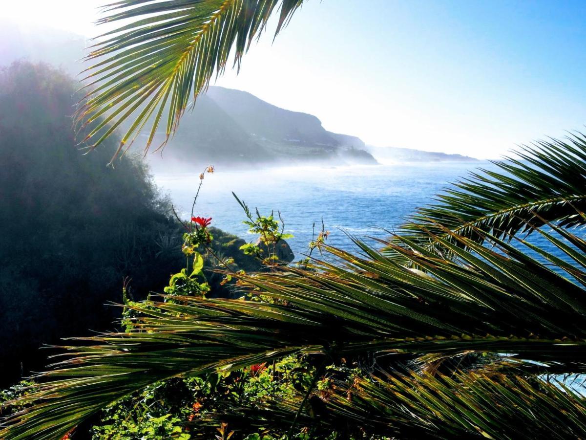 La Pardela Oceanfront Lägenhet Los Realejos Exteriör bild