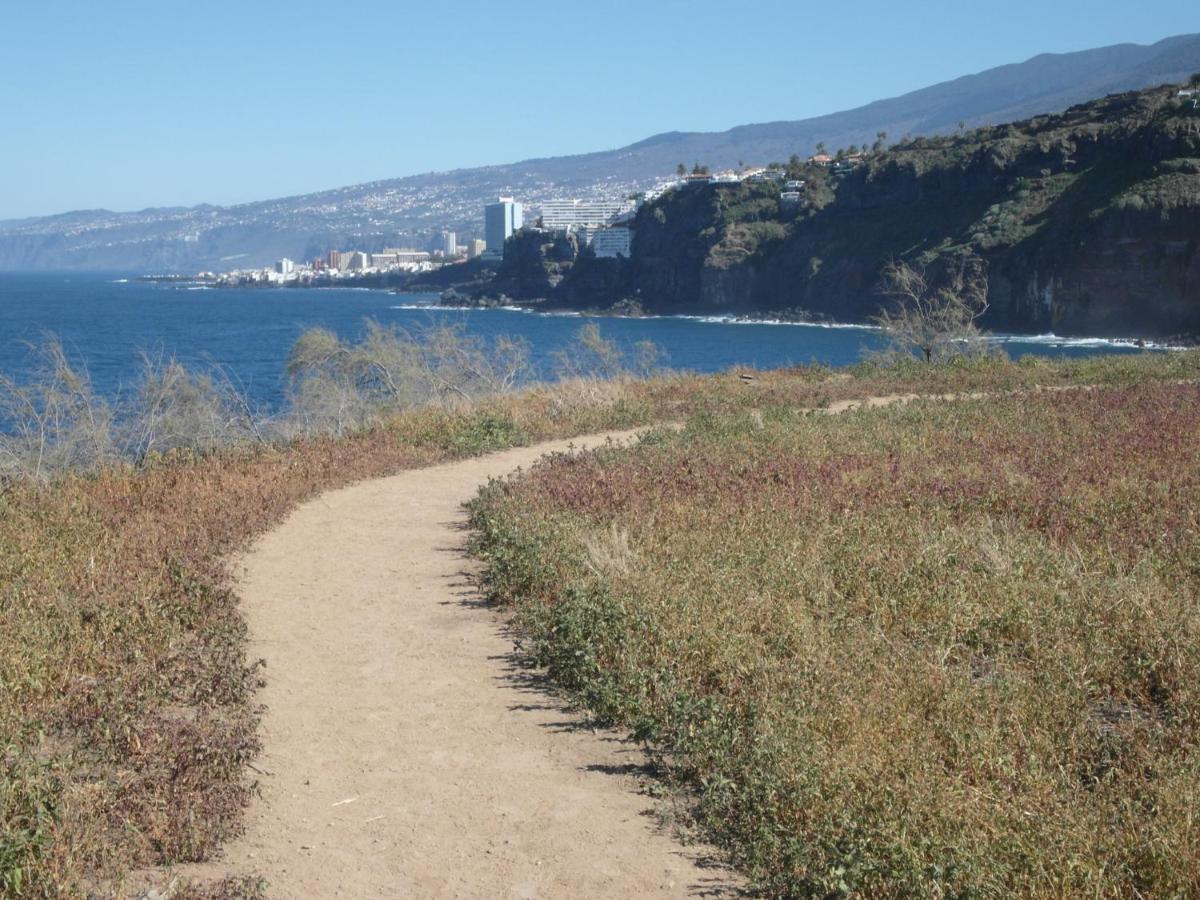 La Pardela Oceanfront Lägenhet Los Realejos Exteriör bild