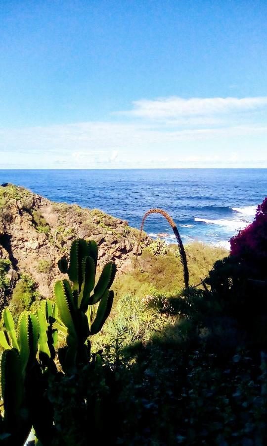 La Pardela Oceanfront Lägenhet Los Realejos Exteriör bild